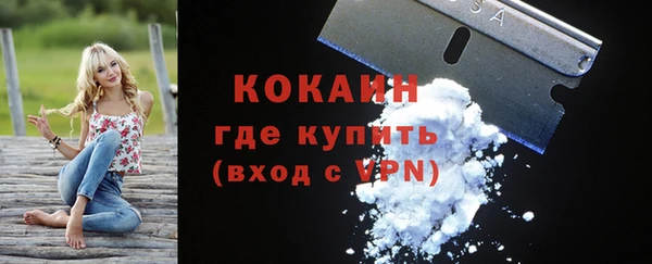 соль ск Богородск