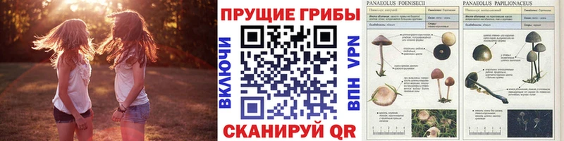 Галлюциногенные грибы мухоморы  Гремячинск 